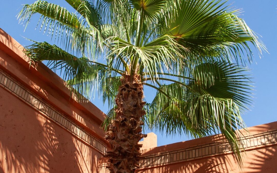 Retraite à Marrakech du 17 au 20 décembre 2026